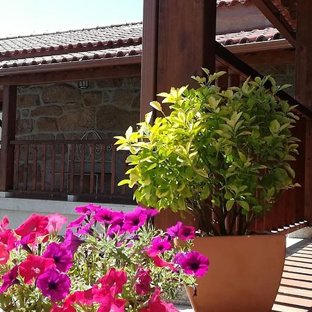 维达古Antiga Casa Do Forno别墅 外观 照片
